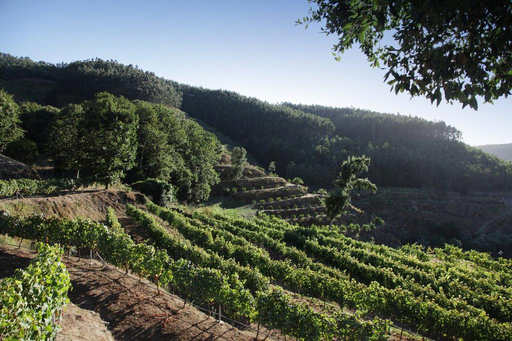 Encosta Dos Tuneis - Turismo E Lazer Sever do Vouga Exterior photo